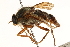  ( - CCDB-23502-F08)  @11 [ ] CreativeCommons - Attribution (2015) CBG Photography Group Centre for Biodiversity Genomics