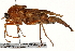  ( - CCDB-23502-F09)  @11 [ ] CreativeCommons - Attribution (2015) CBG Photography Group Centre for Biodiversity Genomics