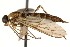  ( - CCDB-23502-G09)  @11 [ ] CreativeCommons - Attribution (2015) CBG Photography Group Centre for Biodiversity Genomics