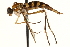  ( - CCDB-23502-G10)  @13 [ ] CreativeCommons - Attribution (2015) CBG Photography Group Centre for Biodiversity Genomics