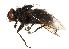  ( - CCDB-23503-C07)  @14 [ ] CreativeCommons - Attribution (2015) CBG Photography Group Centre for Biodiversity Genomics