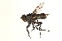  ( - CCDB-23503-H11)  @11 [ ] CreativeCommons - Attribution (2015) CBG Photography Group Centre for Biodiversity Genomics