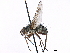  ( - CCDB-23505-G02)  @11 [ ] CreativeCommons - Attribution (2015) CBG Photography Group Centre for Biodiversity Genomics