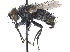 ( - CCDB-23506-A08)  @14 [ ] CreativeCommons - Attribution (2015) CBG Photography Group Centre for Biodiversity Genomics