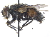  ( - CCDB-23506-H03)  @11 [ ] CreativeCommons - Attribution (2015) CBG Photography Group Centre for Biodiversity Genomics