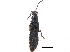  ( - CCDB-23508-F08)  @11 [ ] CreativeCommons - Attribution (2015) CBG Photography Group Centre for Biodiversity Genomics