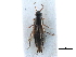  ( - CCDB-23510-D12)  @11 [ ] CreativeCommons - Attribution (2015) CBG Photography Group Centre for Biodiversity Genomics