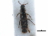  ( - CCDB-23510-E01)  @11 [ ] CreativeCommons - Attribution (2015) CBG Photography Group Centre for Biodiversity Genomics