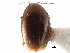  ( - CCDB-23510-G01)  @11 [ ] CreativeCommons - Attribution (2015) CBG Photography Group Centre for Biodiversity Genomics