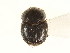  ( - CCDB-23512-A02)  @11 [ ] CreativeCommons - Attribution (2015) CBG Photography Group Centre for Biodiversity Genomics