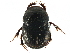  ( - CCDB-23512-A04)  @11 [ ] CreativeCommons - Attribution (2015) CBG Photography Group Centre for Biodiversity Genomics