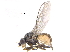 ( - CCDB-23514-B01)  @15 [ ] CreativeCommons - Attribution (2015) CBG Photography Group Centre for Biodiversity Genomics
