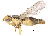  ( - CCDB-23514-B04)  @11 [ ] CreativeCommons - Attribution (2015) CBG Photography Group Centre for Biodiversity Genomics