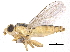  ( - CCDB-23514-B05)  @11 [ ] CreativeCommons - Attribution (2015) CBG Photography Group Centre for Biodiversity Genomics