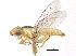  ( - CCDB-23514-B07)  @11 [ ] CreativeCommons - Attribution (2015) CBG Photography Group Centre for Biodiversity Genomics