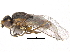  ( - CCDB-23514-E04)  @11 [ ] CreativeCommons - Attribution (2015) CBG Photography Group Centre for Biodiversity Genomics