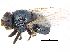  ( - CCDB-23514-F07)  @11 [ ] CreativeCommons - Attribution (2015) CBG Photography Group Centre for Biodiversity Genomics