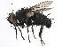  ( - CCDB-23516-B05)  @11 [ ] CreativeCommons - Attribution (2015) CBG Photography Group Centre for Biodiversity Genomics