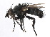  ( - CCDB-23516-B07)  @11 [ ] CreativeCommons - Attribution (2015) CBG Photography Group Centre for Biodiversity Genomics