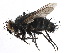  ( - CCDB-23516-B08)  @11 [ ] CreativeCommons - Attribution (2015) CBG Photography Group Centre for Biodiversity Genomics