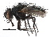  ( - CCDB-23516-C10)  @11 [ ] CreativeCommons - Attribution (2015) CBG Photography Group Centre for Biodiversity Genomics