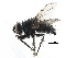  ( - CCDB-23516-F12)  @14 [ ] CreativeCommons - Attribution (2015) CBG Photography Group Centre for Biodiversity Genomics