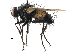  ( - CCDB-23517-E02)  @14 [ ] CreativeCommons - Attribution (2015) CBG Photography Group Centre for Biodiversity Genomics