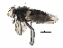  ( - CCDB-23517-H03)  @14 [ ] CreativeCommons - Attribution (2015) CBG Photography Group Centre for Biodiversity Genomics