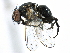  ( - CCDB-23518-B04)  @15 [ ] CreativeCommons - Attribution (2015) CBG Photography Group Centre for Biodiversity Genomics