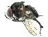  ( - CCDB-23518-B11)  @14 [ ] CreativeCommons - Attribution (2015) CBG Photography Group Centre for Biodiversity Genomics