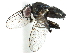  ( - CCDB-23518-C01)  @14 [ ] CreativeCommons - Attribution (2015) CBG Photography Group Centre for Biodiversity Genomics
