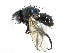  ( - CCDB-23518-C04)  @11 [ ] CreativeCommons - Attribution (2015) CBG Photography Group Centre for Biodiversity Genomics