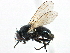  ( - CCDB-23518-C07)  @11 [ ] CreativeCommons - Attribution (2015) CBG Photography Group Centre for Biodiversity Genomics