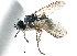  ( - CCDB-23518-E07)  @11 [ ] CreativeCommons - Attribution (2015) CBG Photography Group Centre for Biodiversity Genomics