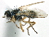  ( - CCDB-23518-E08)  @11 [ ] CreativeCommons - Attribution (2015) CBG Photography Group Centre for Biodiversity Genomics