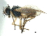  ( - CCDB-23518-E10)  @11 [ ] CreativeCommons - Attribution (2015) CBG Photography Group Centre for Biodiversity Genomics