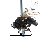  ( - CCDB-23518-G04)  @15 [ ] CreativeCommons - Attribution (2015) CBG Photography Group Centre for Biodiversity Genomics