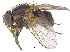  ( - CCDB-23519-D08)  @15 [ ] CreativeCommons - Attribution (2015) CBG Photography Group Centre for Biodiversity Genomics