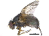  ( - CCDB-23519-D09)  @15 [ ] CreativeCommons - Attribution (2015) CBG Photography Group Centre for Biodiversity Genomics