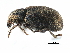  ( - CCDB-23524-E11)  @13 [ ] CreativeCommons - Attribution (2015) CBG Photography Group Centre for Biodiversity Genomics