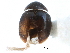  ( - CCDB-28930-A10)  @11 [ ] CreativeCommons - Attribution (2015) CBG Photography Group Centre for Biodiversity Genomics