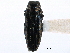  ( - CCDB-28930-D11)  @11 [ ] CreativeCommons - Attribution (2015) CBG Photography Group Centre for Biodiversity Genomics