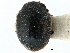  ( - CCDB-28933-G03)  @11 [ ] CreativeCommons - Attribution (2015) CBG Photography Group Centre for Biodiversity Genomics