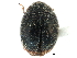  ( - CCDB-28933-G05)  @11 [ ] CreativeCommons - Attribution (2015) CBG Photography Group Centre for Biodiversity Genomics