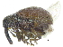 ( - CCDB-28938-B11)  @11 [ ] CreativeCommons - Attribution (2015) CBG Photography Group Centre for Biodiversity Genomics