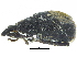  ( - CCDB-28938-C01)  @11 [ ] CreativeCommons - Attribution (2015) CBG Photography Group Centre for Biodiversity Genomics