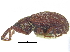  ( - CCDB-28938-D05)  @11 [ ] CreativeCommons - Attribution (2015) CBG Photography Group Centre for Biodiversity Genomics