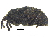  ( - CCDB-28938-F12)  @14 [ ] CreativeCommons - Attribution (2015) CBG Photography Group Centre for Biodiversity Genomics