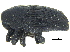  ( - CCDB-28938-G08)  @11 [ ] CreativeCommons - Attribution (2015) CBG Photography Group Centre for Biodiversity Genomics
