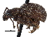  ( - CCDB-28939-B07)  @11 [ ] CreativeCommons - Attribution (2015) CBG Photography Group Centre for Biodiversity Genomics